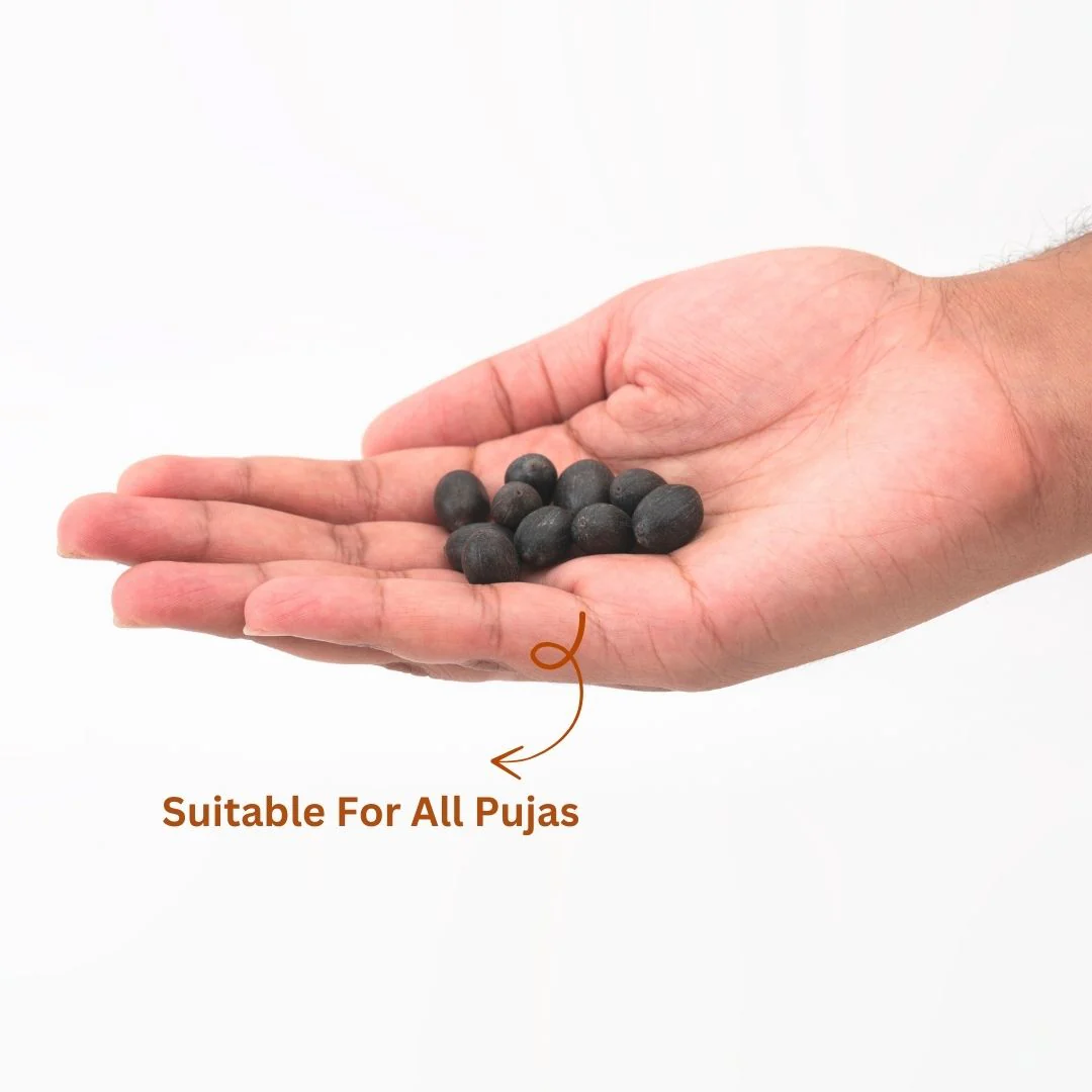 Kamal Gatta (Lotus Seeds) for Puja and Rituals (10 pcs) - Image 3