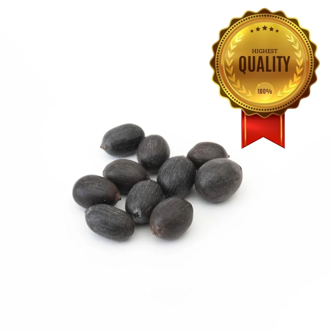 Kamal Gatta (Lotus Seeds) for Puja and Rituals (10 pcs) - Image 4
