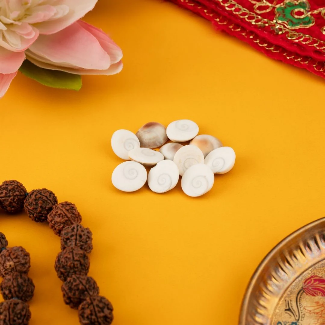Original Gomti Chakra for Pooja – Pack of 11 Pcs, 21 Pcs & 51 Pcs