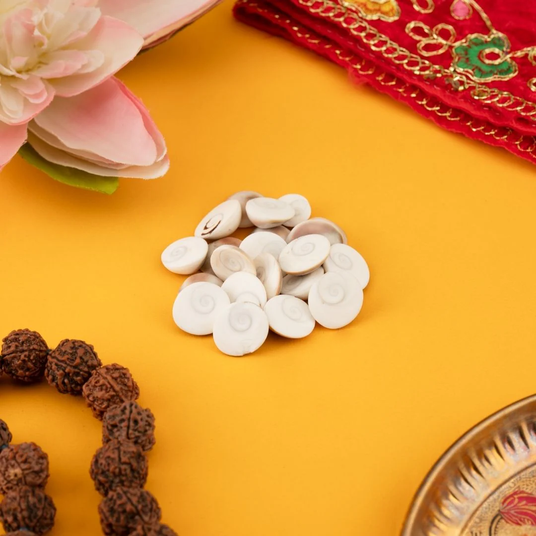 Original Gomti Chakra for Pooja – Pack of 11 Pcs, 21 Pcs & 51 Pcs - Image 2