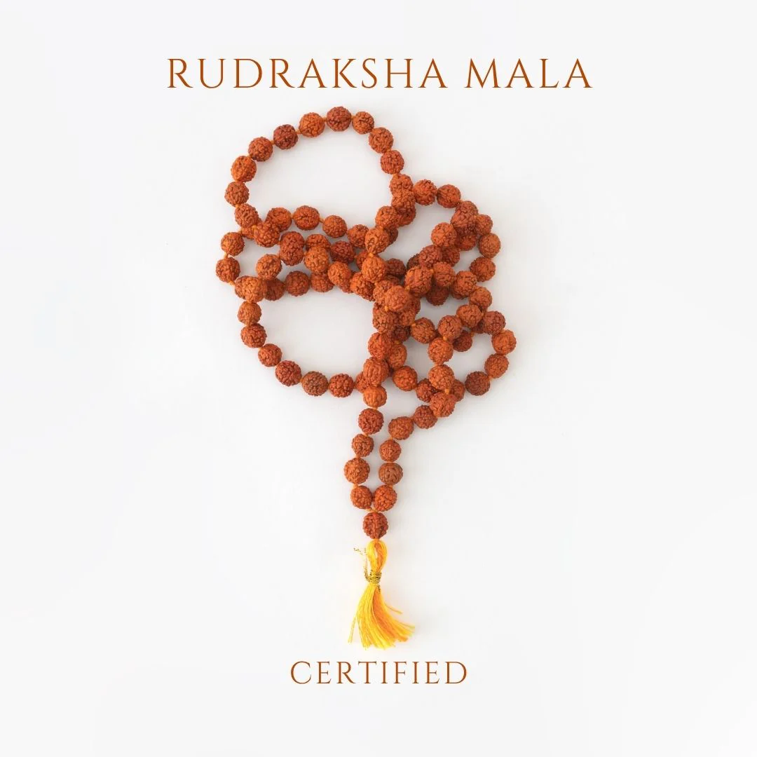 Original Rudraksha Mala (108 Beads) β Panch Mukhi Rudraksha (1 Pc) - Image 2