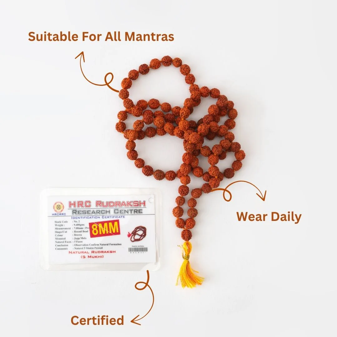 Original Rudraksha Mala (108 Beads) β Panch Mukhi Rudraksha (1 Pc) - Image 4