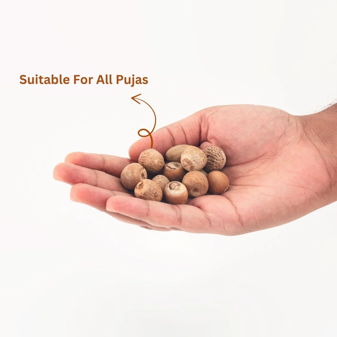 Supari (Areca Nut) – Sacred Betel Nut for Puja (5 Pcs) - Image 3